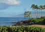 02KeaLani - 20 * The Kea Lani offers a free Hawaiian Canoe Culture experience